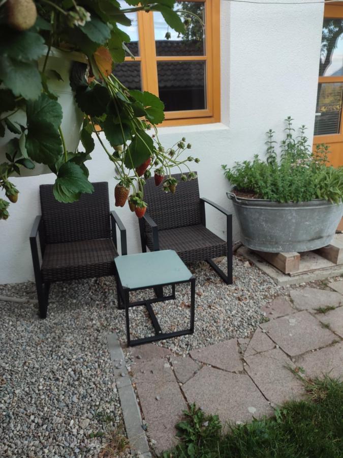 Schoberkurve Lägenhet Raubling Exteriör bild