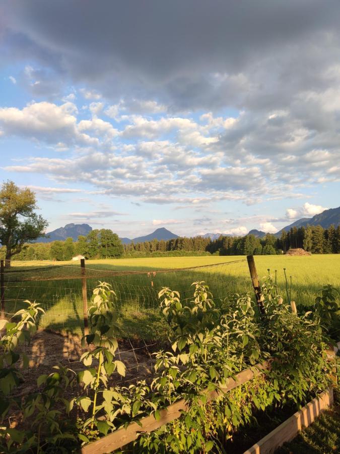 Schoberkurve Lägenhet Raubling Exteriör bild